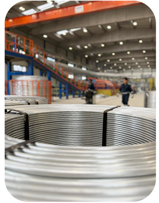 about us fotografija